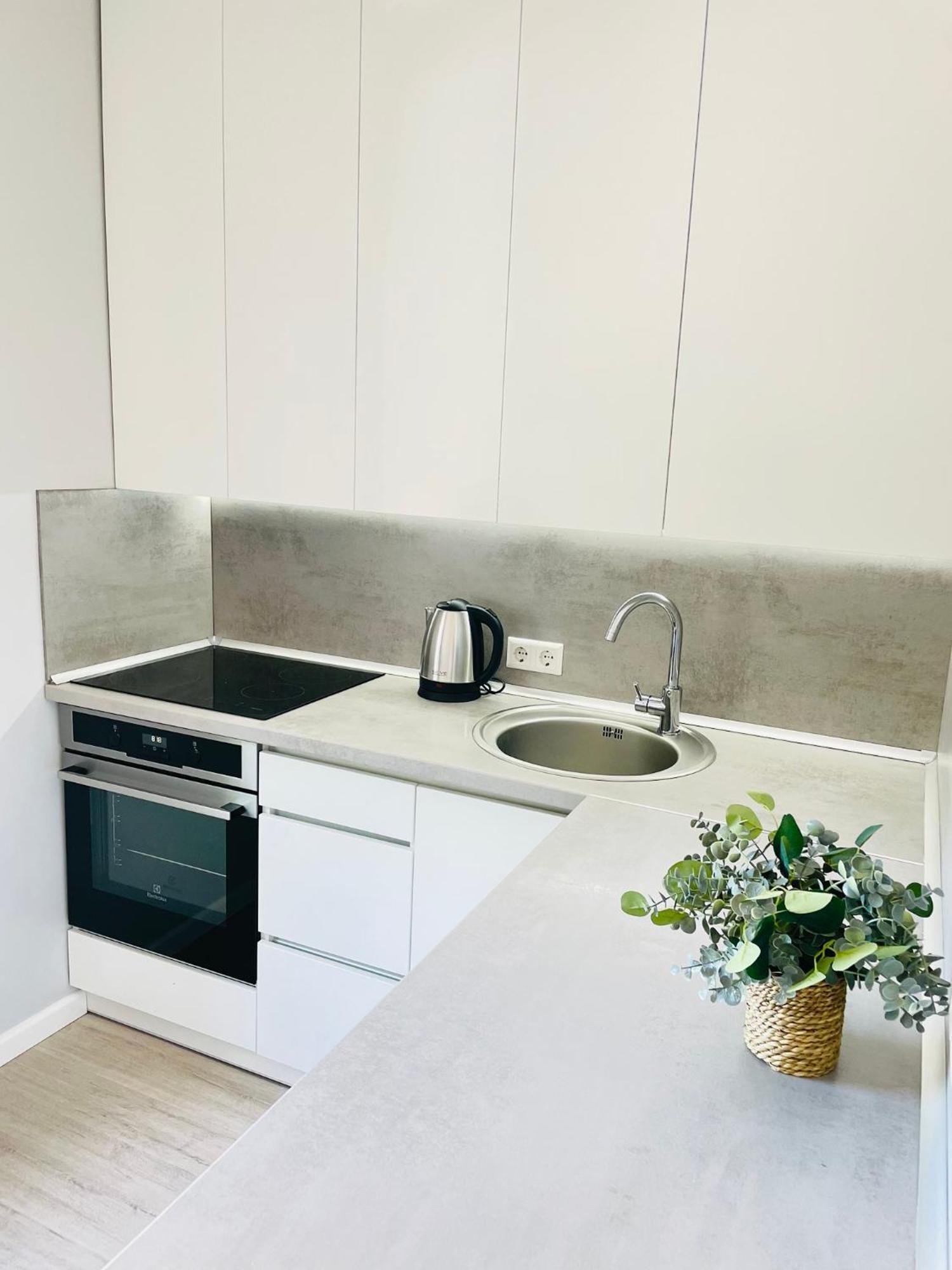 Jano Apartment Klaipeda City Center エクステリア 写真